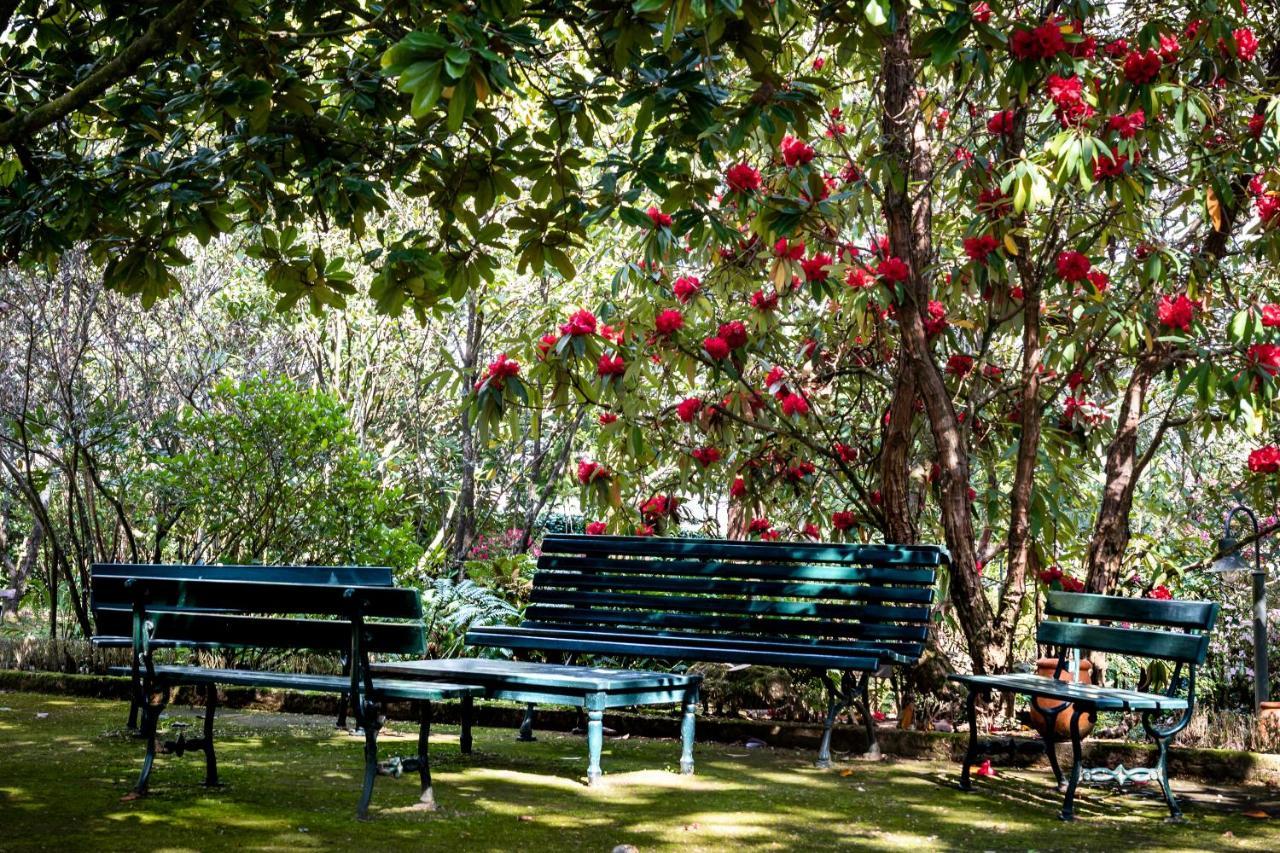 Lever Quinta De Mouraes Casa Dos Rododendros旅馆 外观 照片