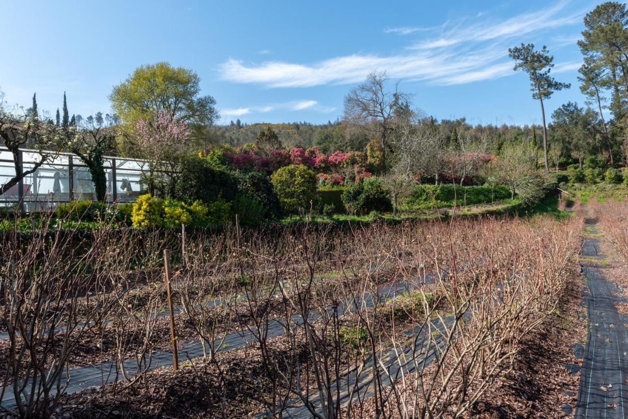 Lever Quinta De Mouraes Casa Dos Rododendros旅馆 外观 照片