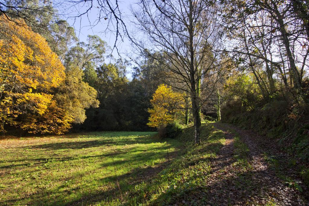 Lever Quinta De Mouraes Casa Dos Rododendros旅馆 外观 照片