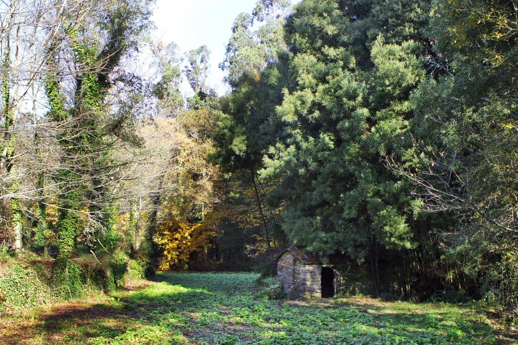 Lever Quinta De Mouraes Casa Dos Rododendros旅馆 外观 照片