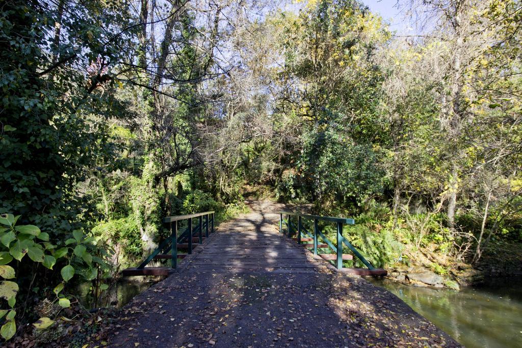 Lever Quinta De Mouraes Casa Dos Rododendros旅馆 外观 照片
